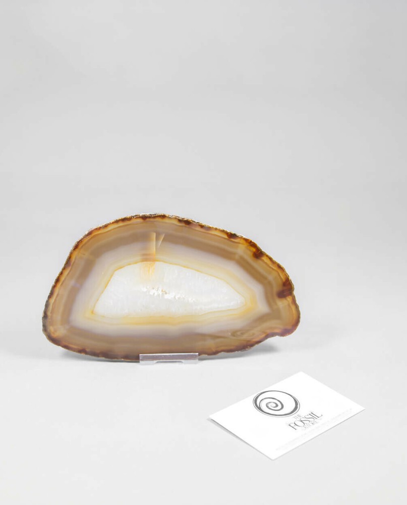Natural [Unstained] Agate Slice 180mm