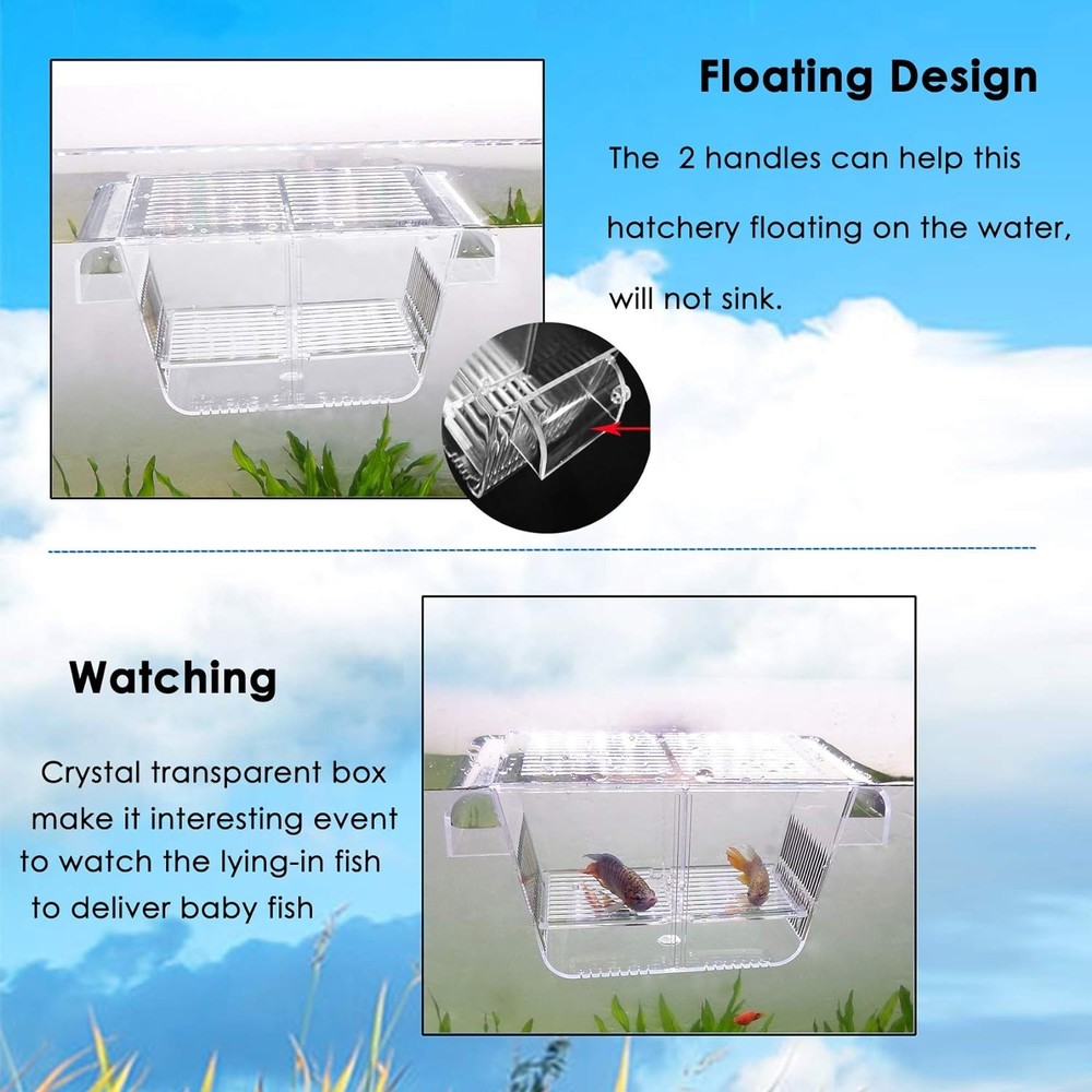 Small Acrylic Fish Breeding Box Suction Cups