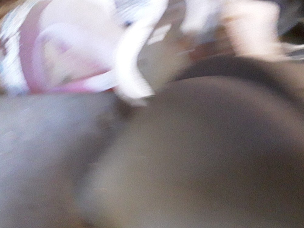 Vintage Adding Machine