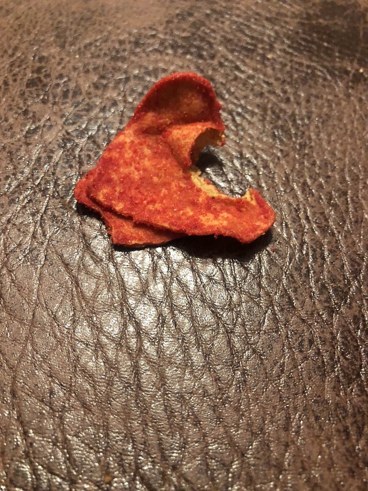 Deformed Taki Chip snapping turtle look