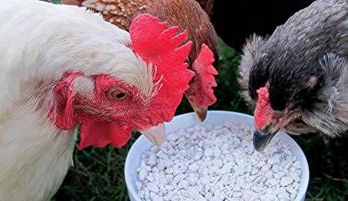 Calcium Carbonate for Chickens - Poultry Shell and Bone Builder - Chicken Scratc