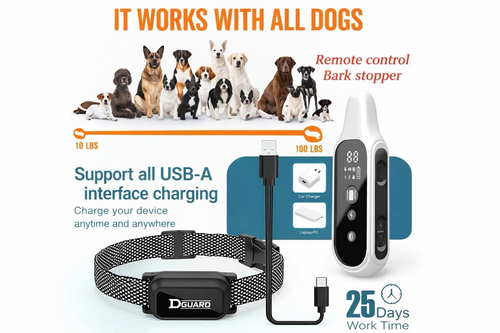 dog training collar with remote