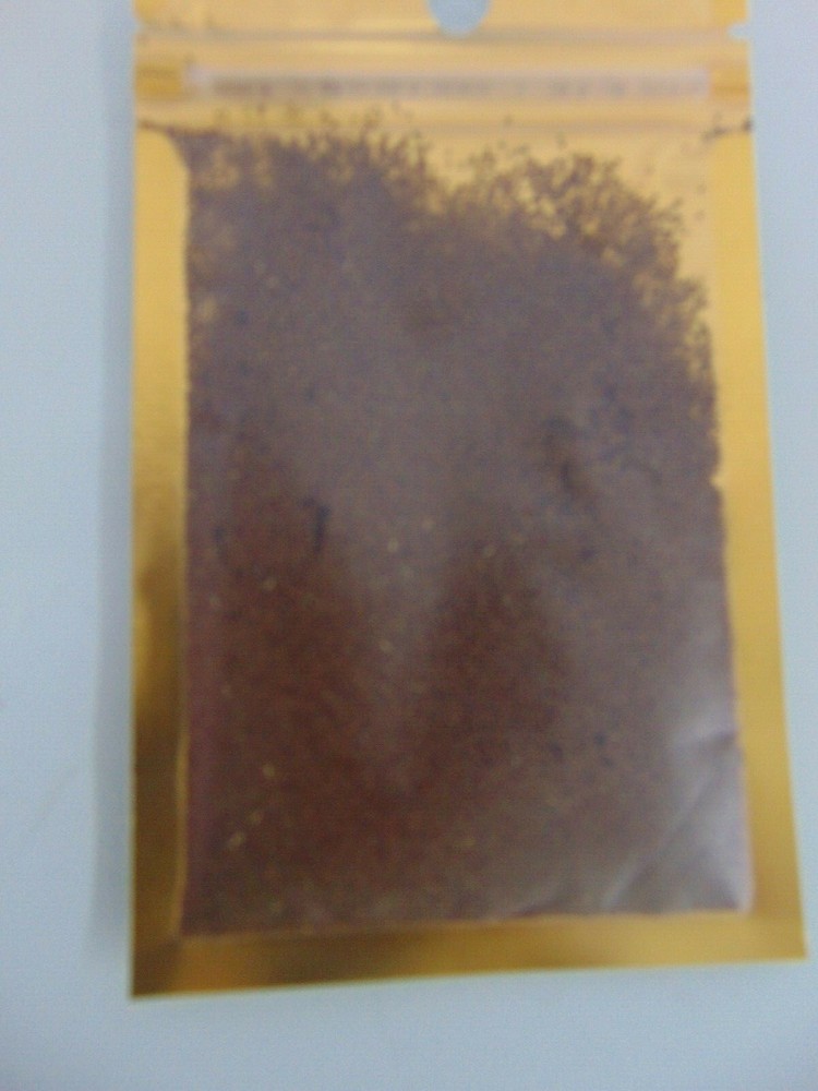 Aquarium Small Leaf Grass (20 Packs)