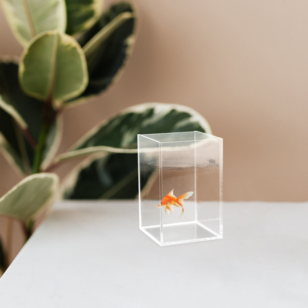 Desktop Fish Tank Small Aquarium Betta for Acrylic Medium Office