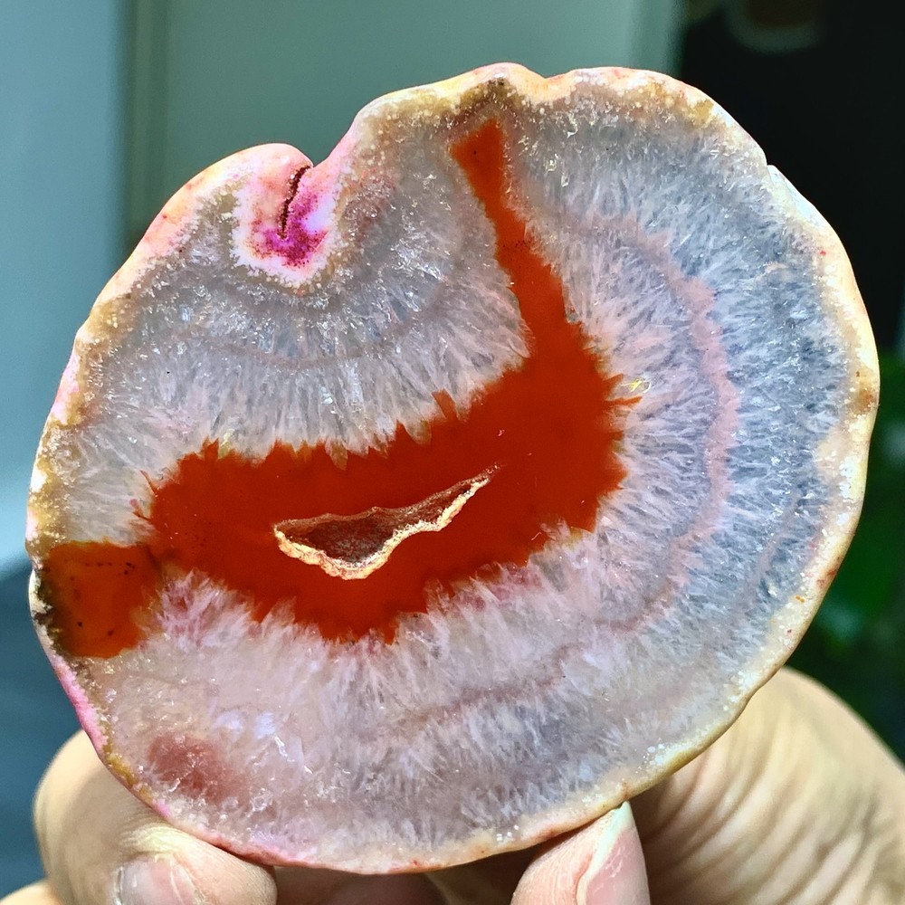 42G Natural Beautiful Agate Geode Druzy Slice Extra Large Gemstone