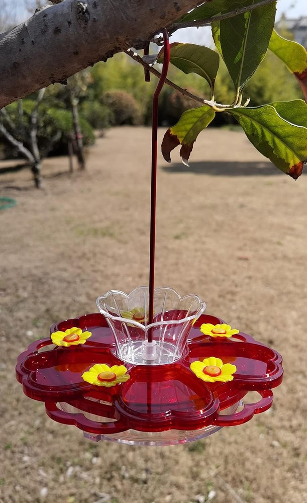Ant Moat for Hummingbird Feeder - 3 OZ x 2 Pack Clear Insect 2PC/Pack,