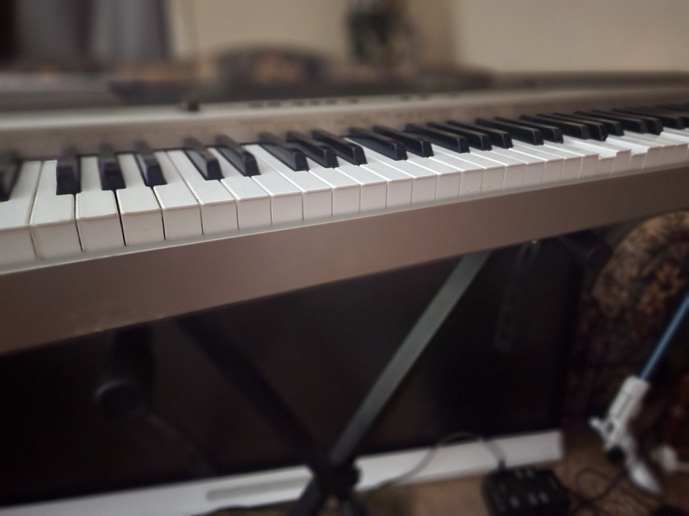 Casio Priva PX 120 & AODSX stand.