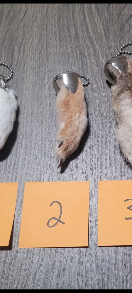 Lucky Rabbit Foot Keychain