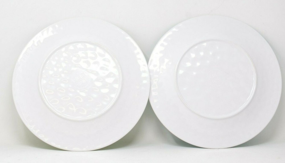 Melamine Dinner Plate 2 Pack 11.5" Blue Green