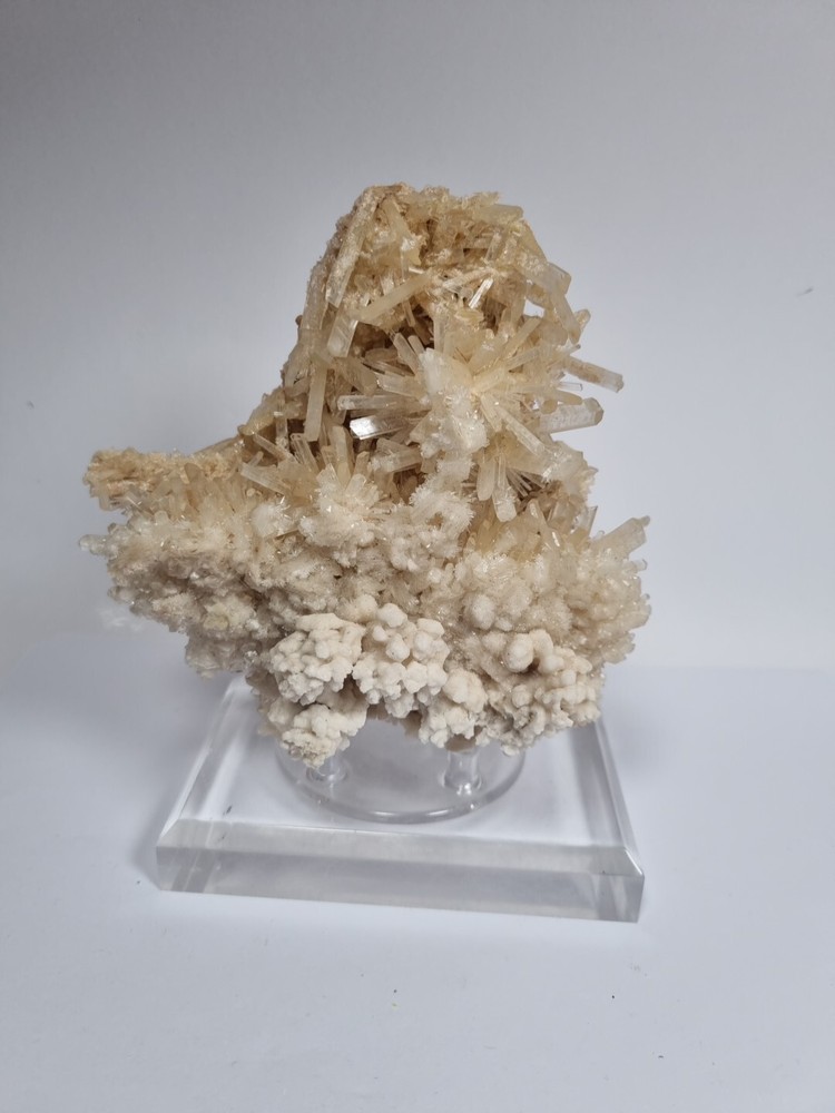 Minerals◇Chalk Australia FREE SHIPPING