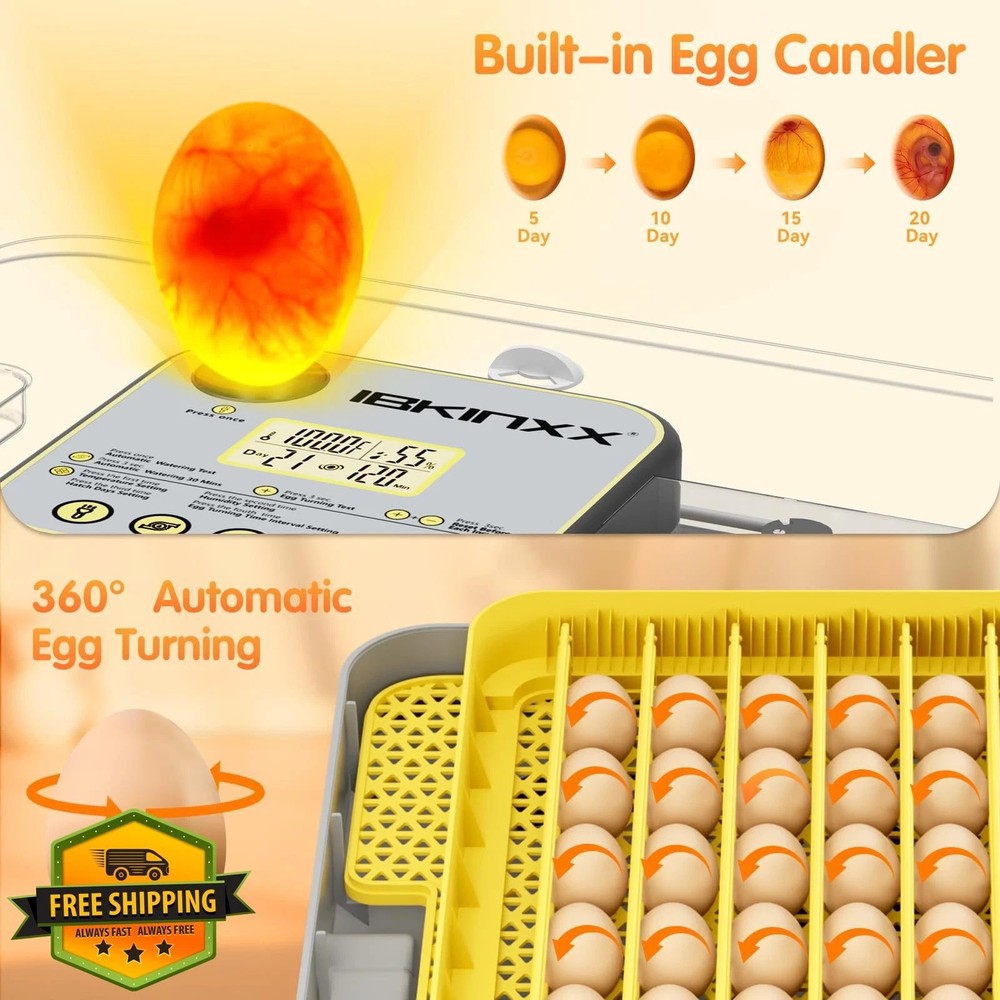 IBKINXX Incubator for Hatching Eggs-48 Egg Capacity