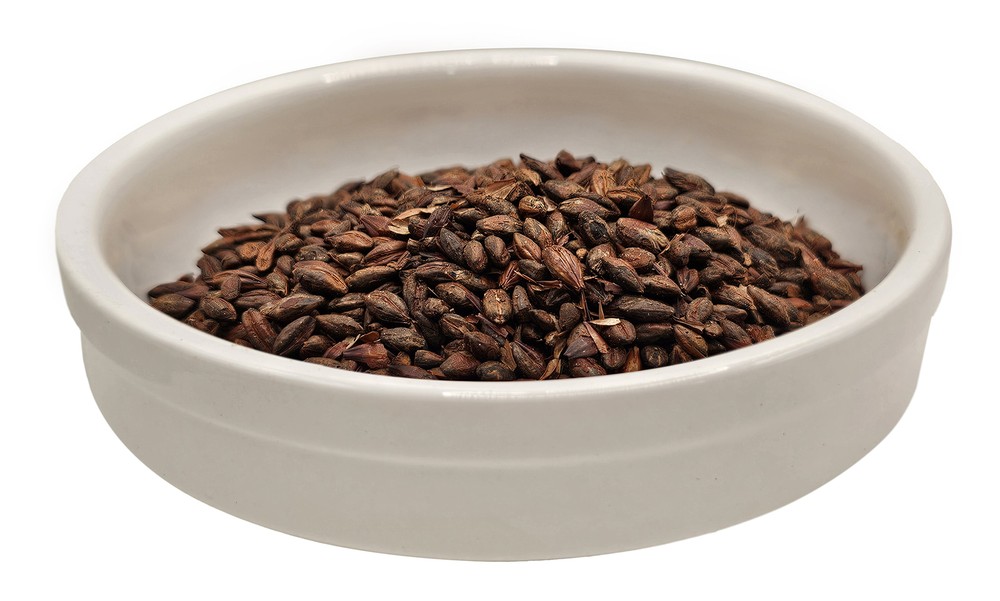 Home Brew Ohio Red Wheat Grain 1lb