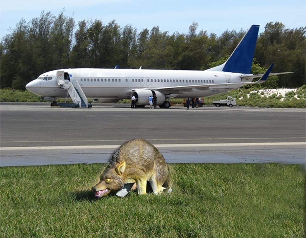 Lifelike 3D Decoy Predator Replica, Wind-Powered Moving Tail, 1 Acre Coverage