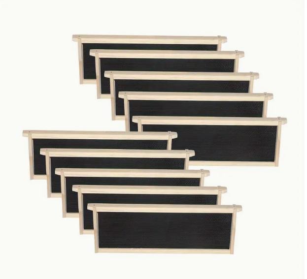 1 Layer Beehive Super Box Wax Langstroth Deep House + 10 Frames Beekeeping