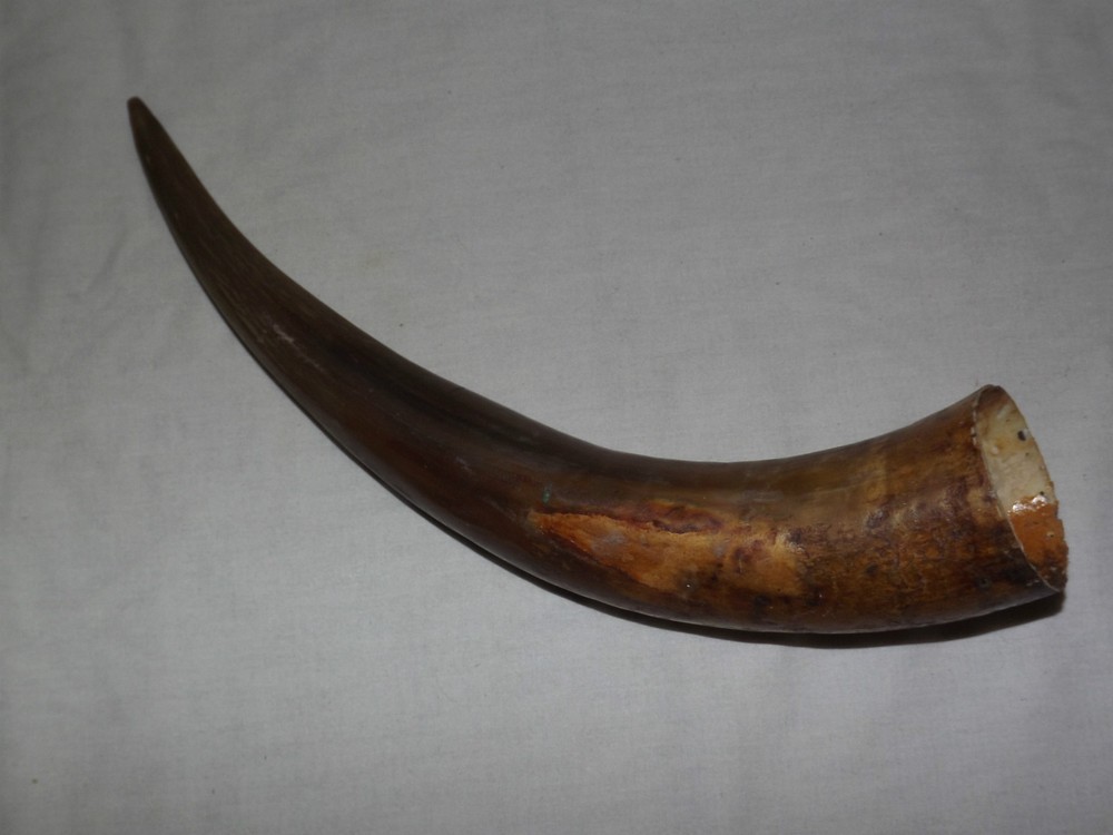 VINTAGE POWDER HORN UNKNOWN YEAR MADE