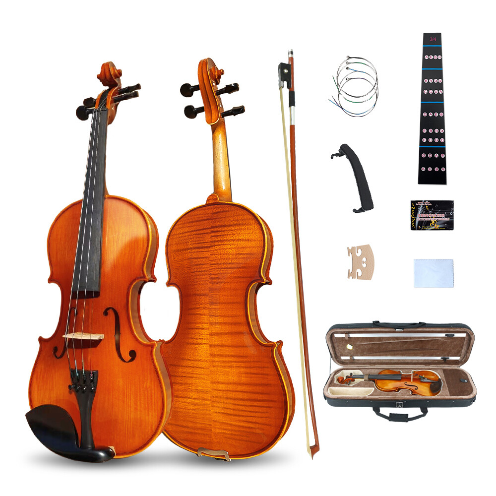 4 String 4/4 Violin Solid Wood Ebony Fittings Accessory Professional Lerners