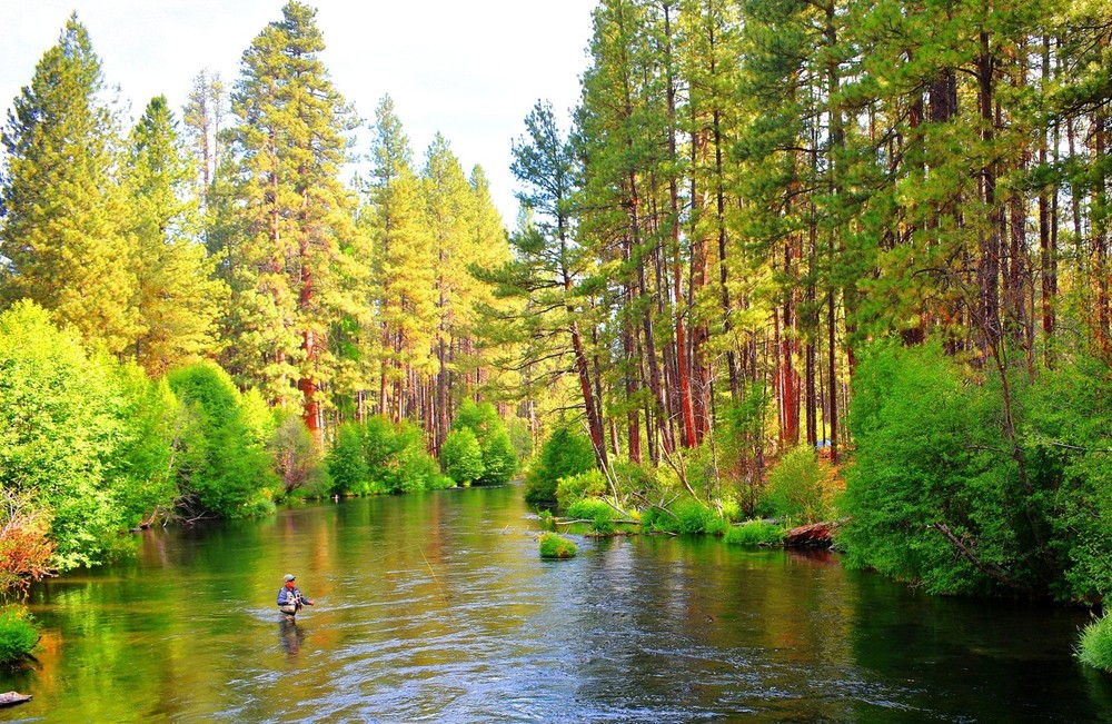 H & L Variant Classic Dry Fly - 6 Flies Hook Size 14