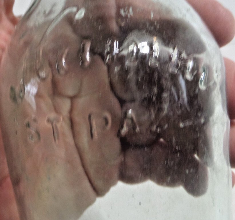 Hamm beer St. Paul bottle antique EMPTY