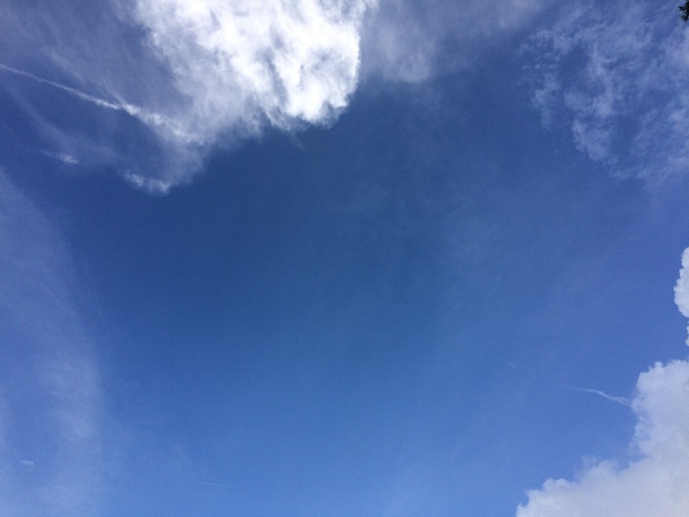 Chembuster DIY Instructions-Make your own Chembuster!