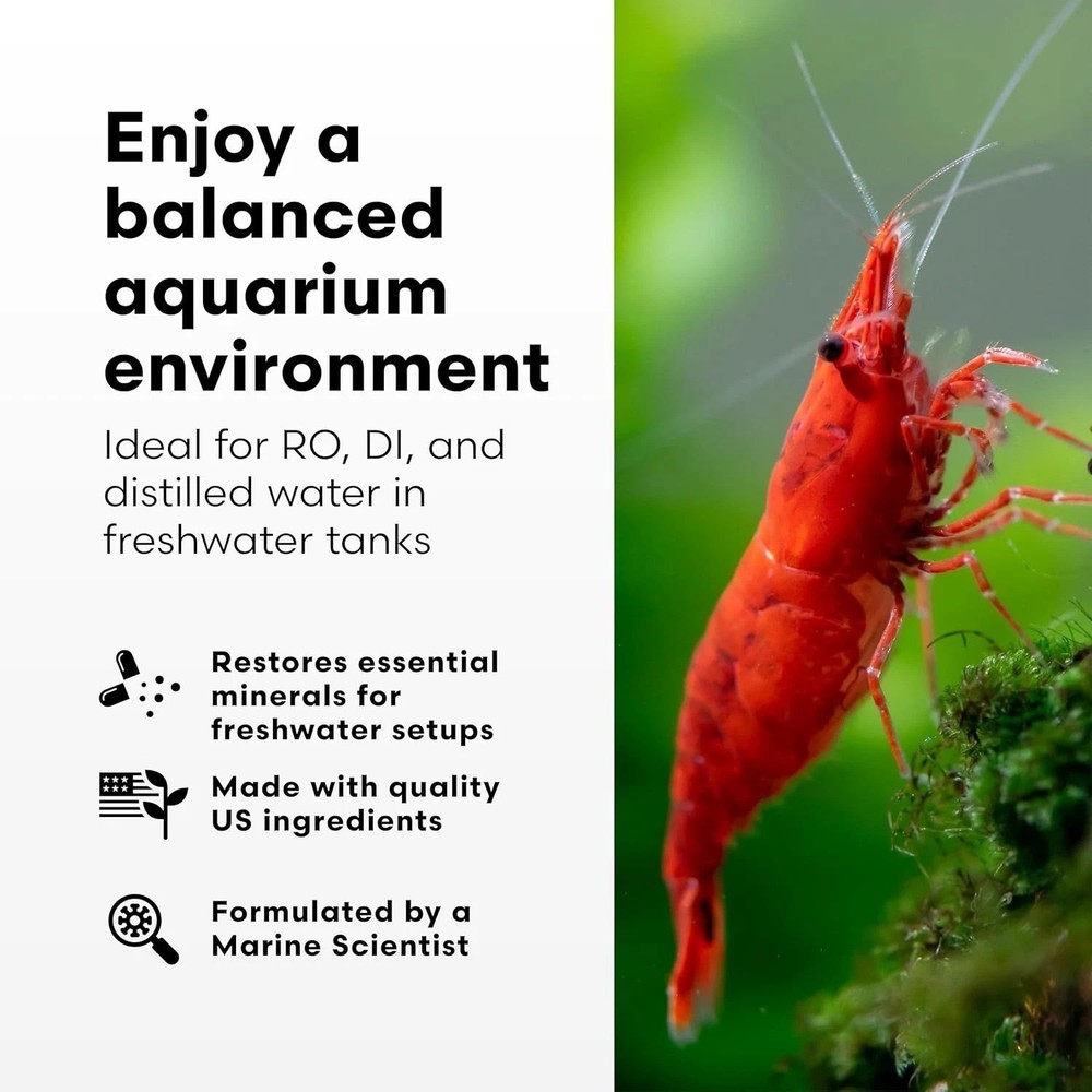 Aquarium Water Minerals