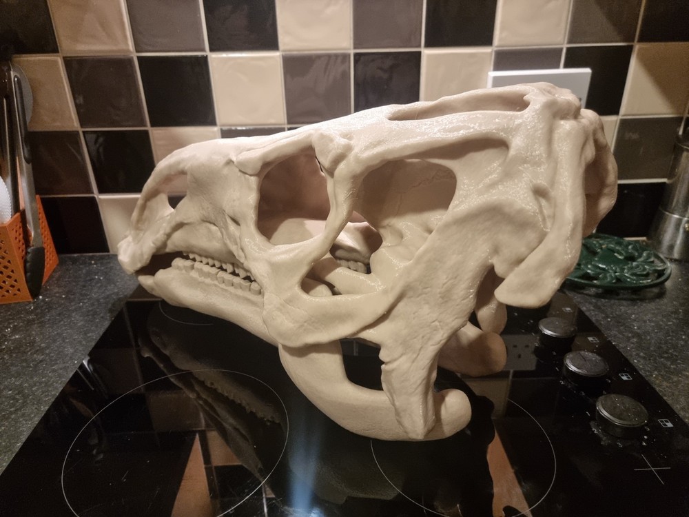 Iguanodon Replica Skull Large Dinosaur Skull Model