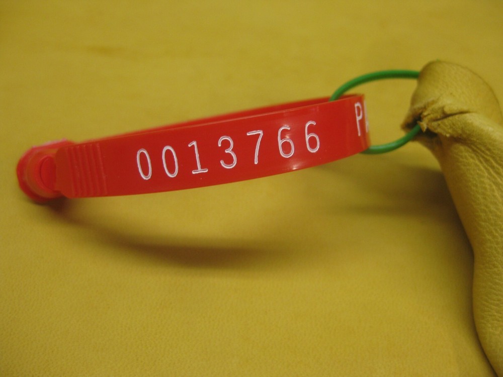 Top Grain Deer Leather #0013766 Row XX