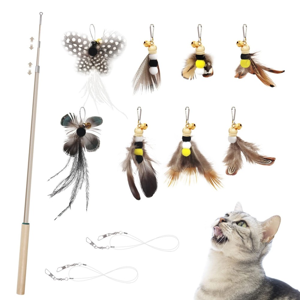 Retractable Cat Teaser Wand Toy 9 PCS Set with Insect Worm Replacements