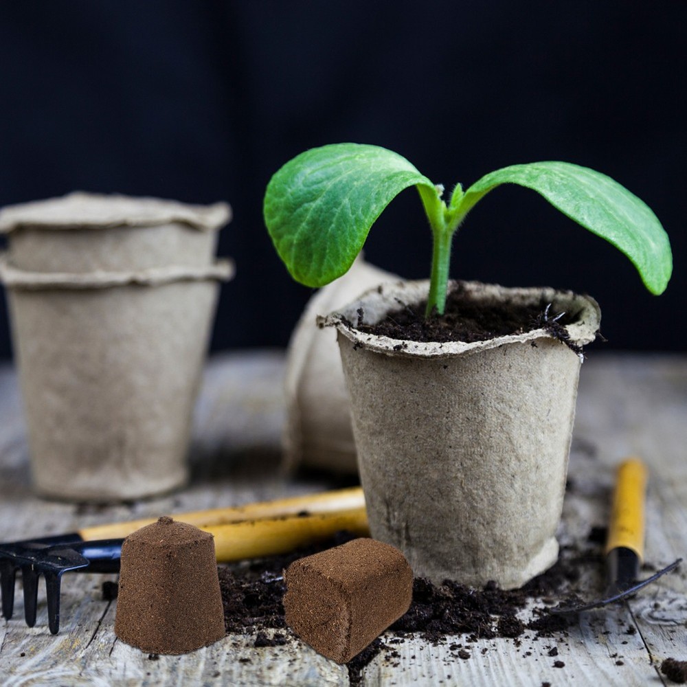 10pcs Soilless Cultivation Inserting Plant Fertilizer Nutrient Block