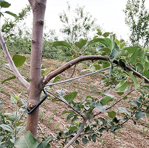 Fruit Tree Limb Spreaders - 5pcs Branch Support & Brace for Tree Growth