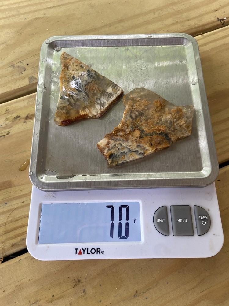 Graveyard Plume Agate 2 Pieces 70 Grams