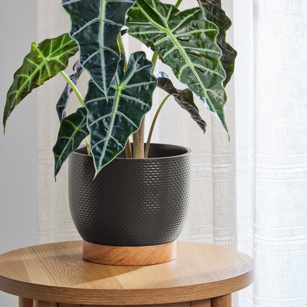 8 inch Channing Woven Black Ceramic Planter