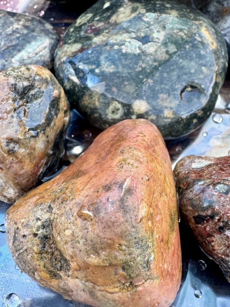 Jaspers Rough Lapidary 5 Lbs