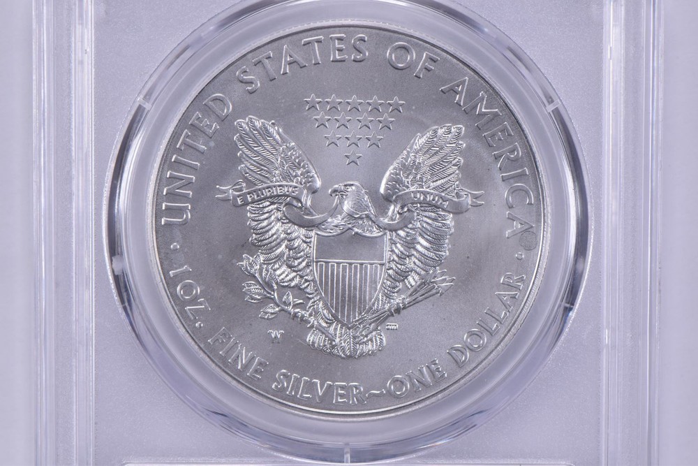 SP69 2013-W Burnished Silver Eagle Annual Set PCGS Blue Label