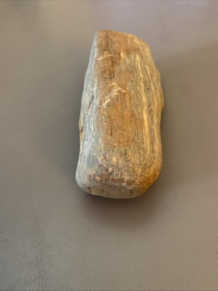 Petrified Wood