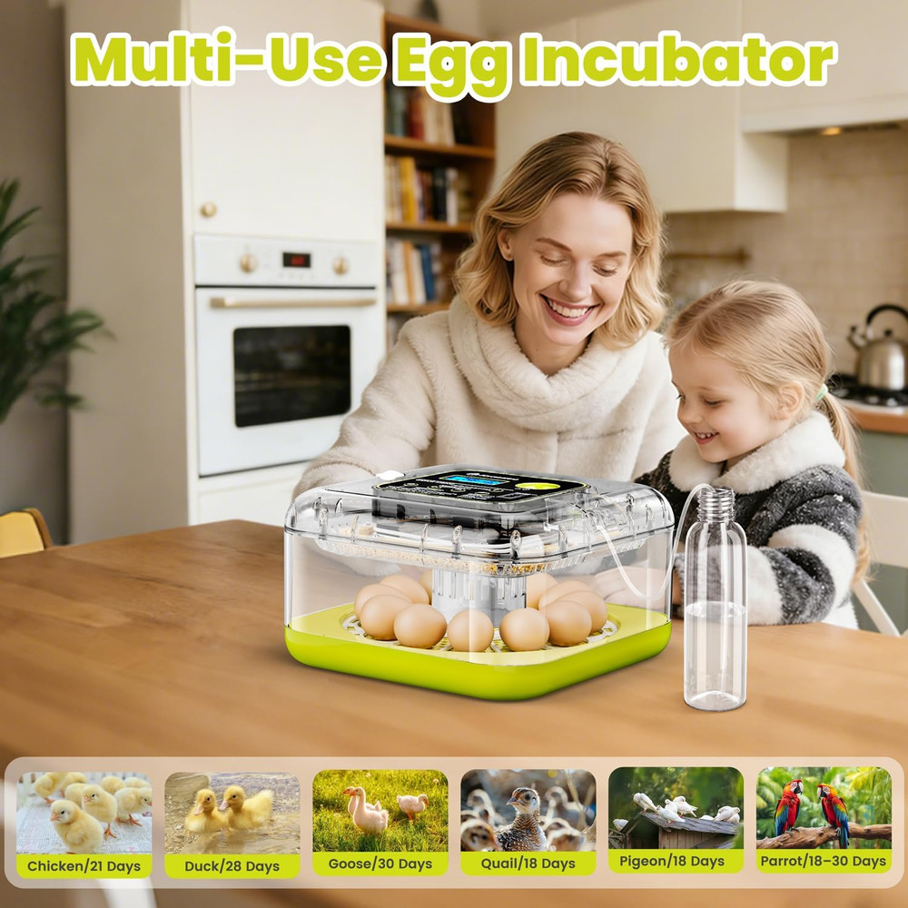 Egg Incubators for Hatching Eggs, 12 Egg Incubator with Automatic Egg Turning an