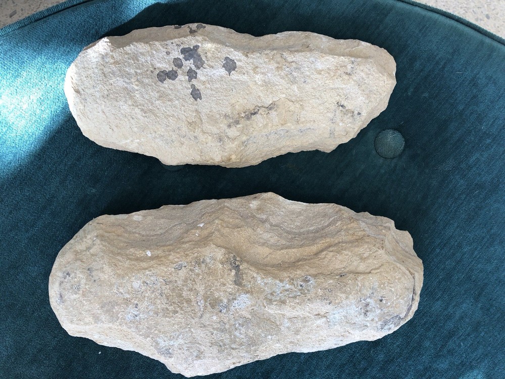 Fossil Fish Two Pieces 10.5" HEAVY