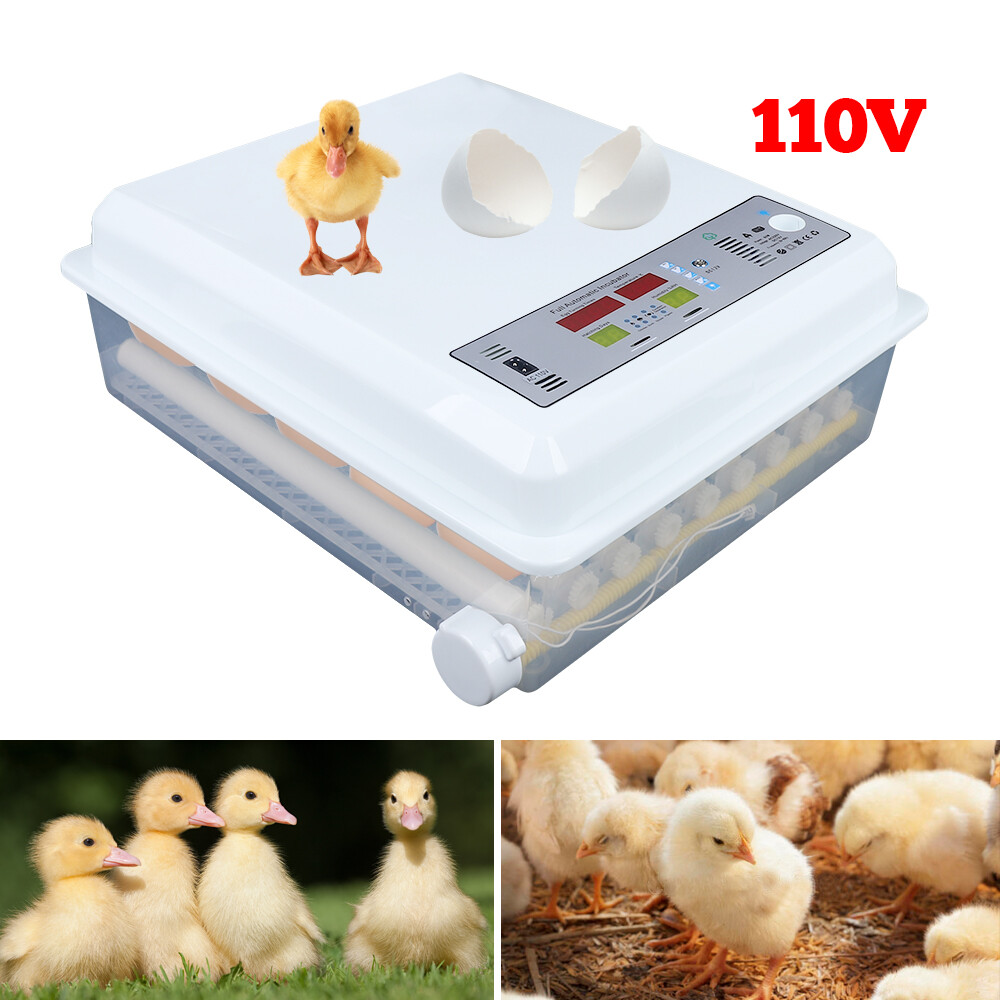 64 Digital Eggs Incubator Egg Hatcher With Temperature Control Automatic Turner