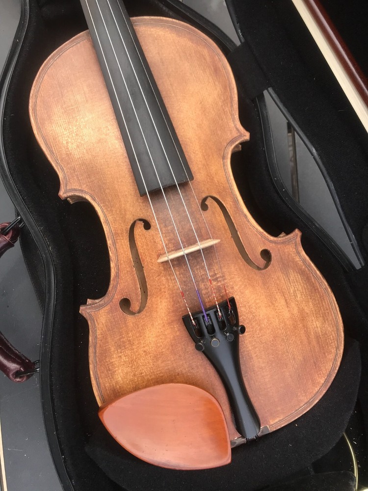 4/4 violin w/case