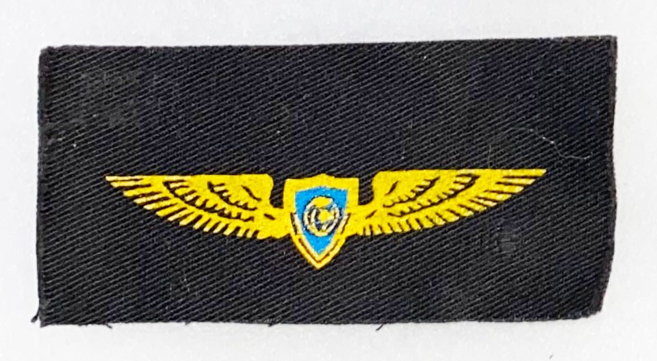 Unkown Foreign Wing Badge / Patch