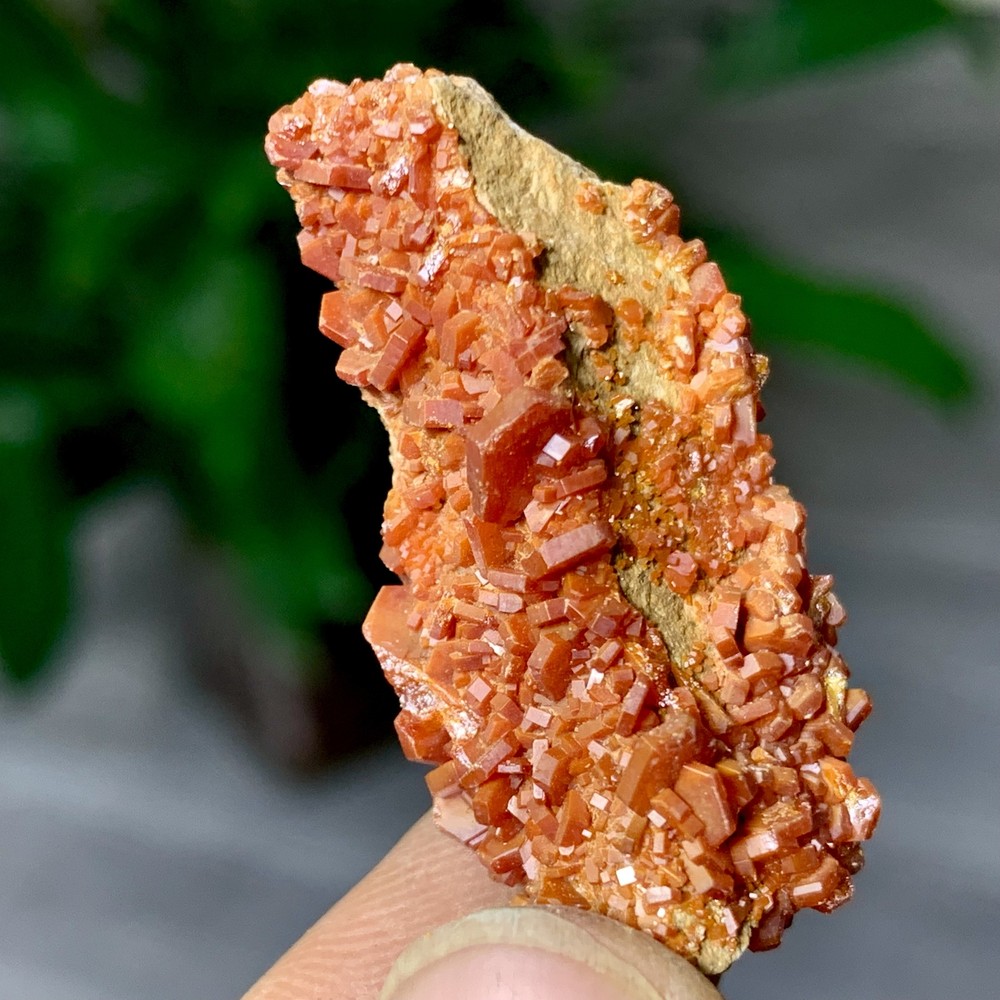 13GNatural Beautiful Vanadinite Atone Cluster Quartz Mineral SamplefromMorocco