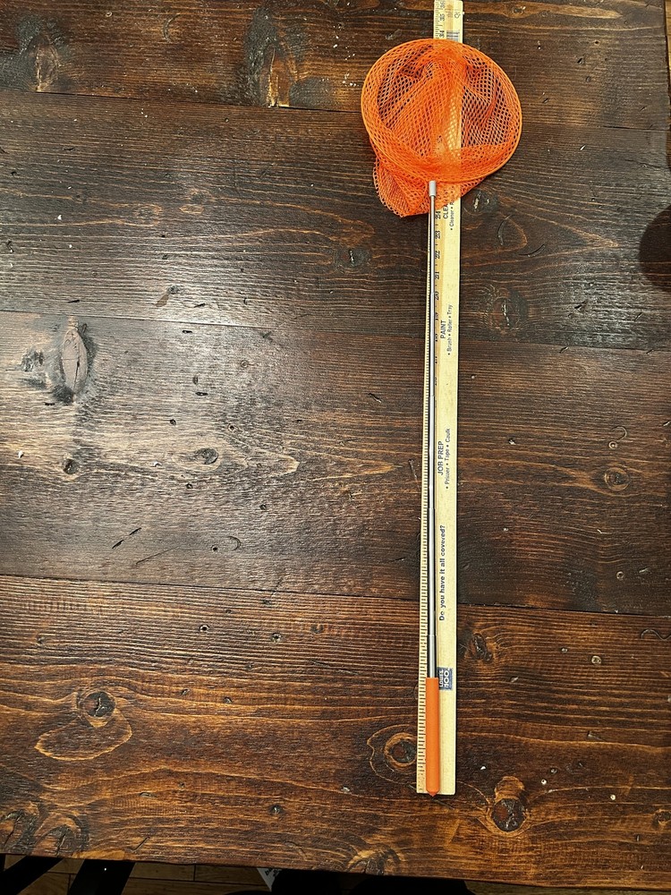 Bird Net, Free Shipping