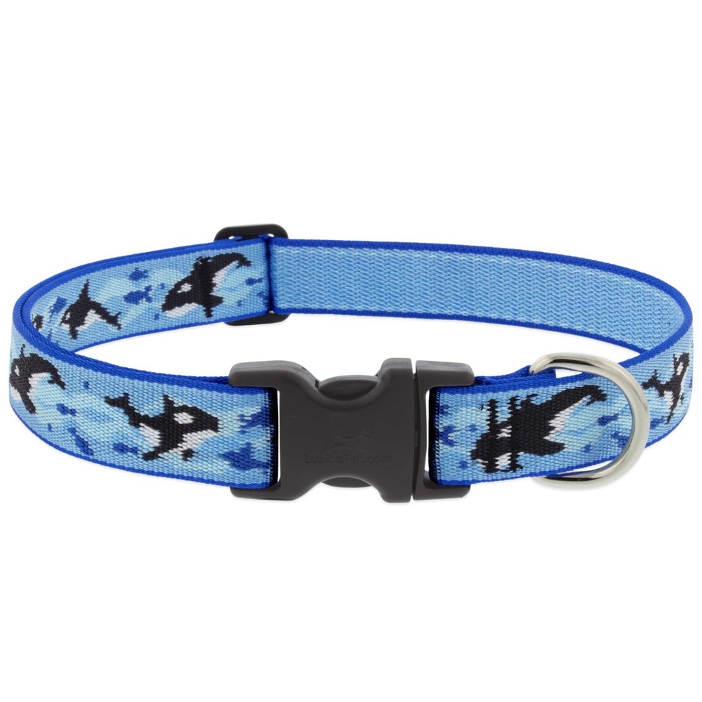 Lupine 1" Wide Orcas MicroBatch