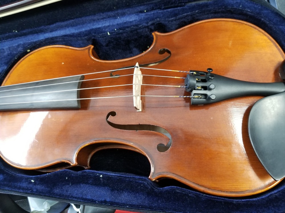 RSV Viola 16 1/2"