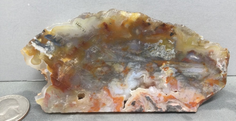 Opalized Agate rough slab for cabbing. Mesmerizing! #OA-002