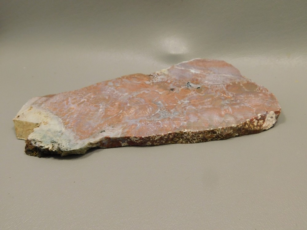 Red Agate Pseudomorph Stone Slab Lapidary Rough Rock #O1