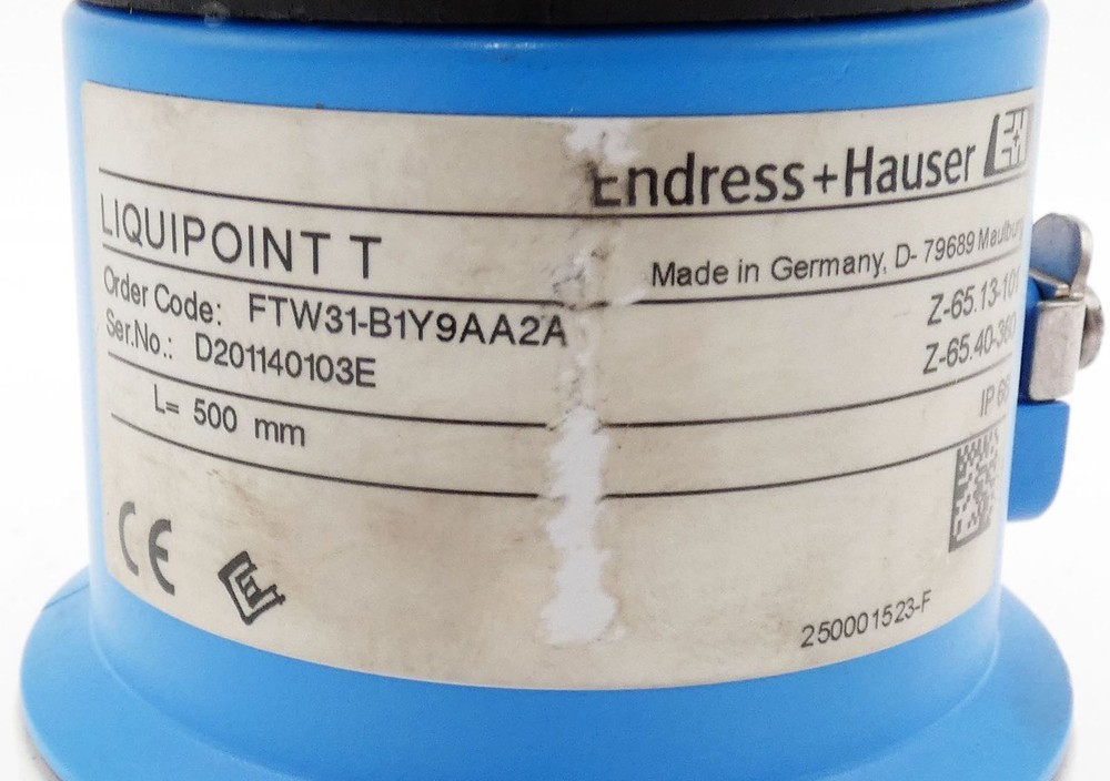 Endress+Hauser Liquipoint T FTW31-B1Y9AA2A Point Level Detector -used-