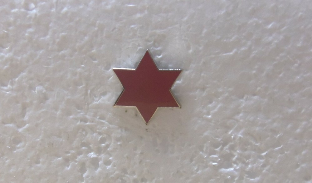 US Army - 6th Infantry Division Pin