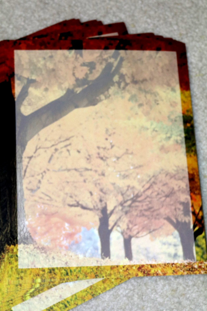 25 Sheets Computer Stationary  ~  FALL TREES