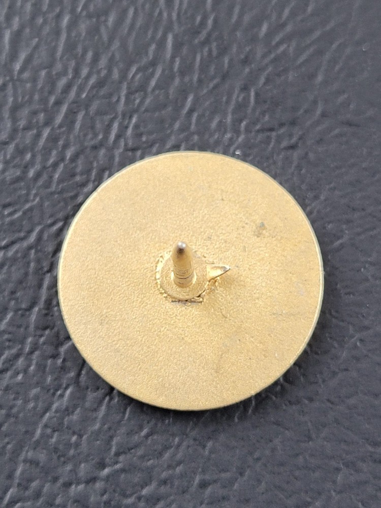 WALMART 5 YEAR ASSOCIATE EMPLOYEE PIN GOLD TONE