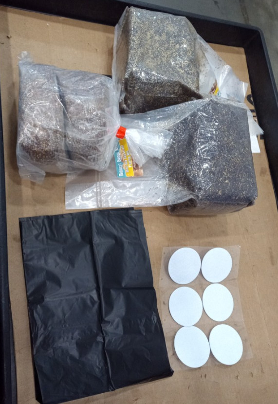 Complete Refill Kit for Large 66Q Monotub, Includes Grain Spawn & Bulk Substrate
